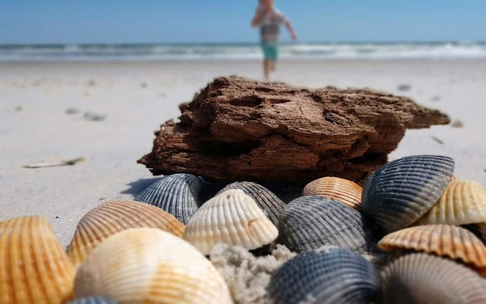 Beach Photo