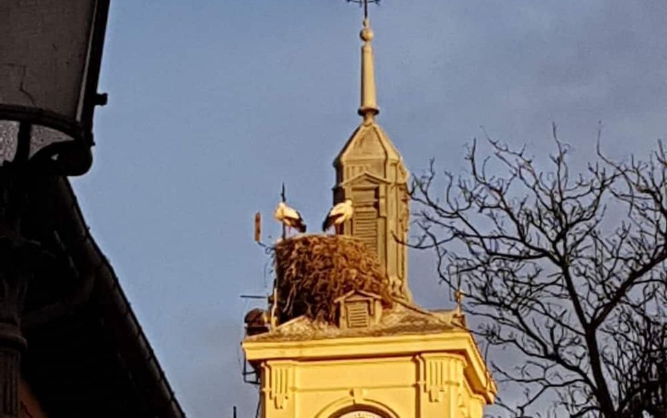 Other Photo