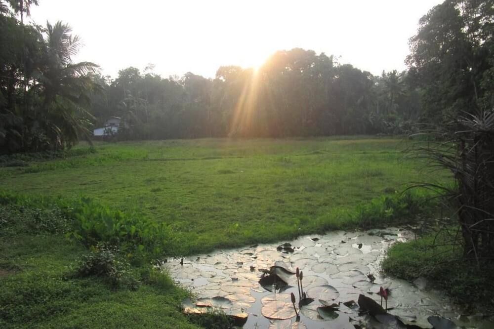 Outdoors view