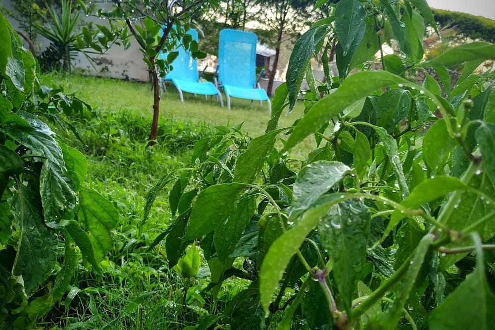 Outdoors view