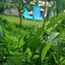Outdoors view