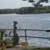 Outdoors view