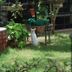 Outdoors view