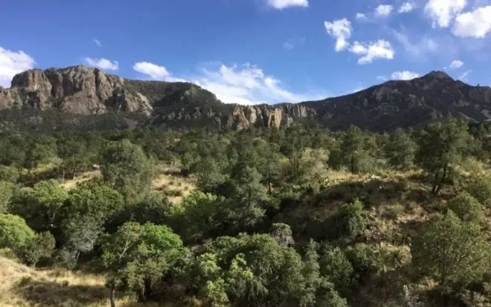 Outdoors view Photo