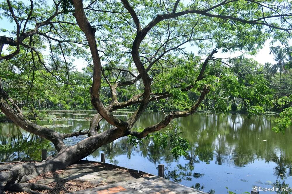 Outdoors view