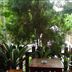 Outdoors view
