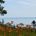 Outdoors view