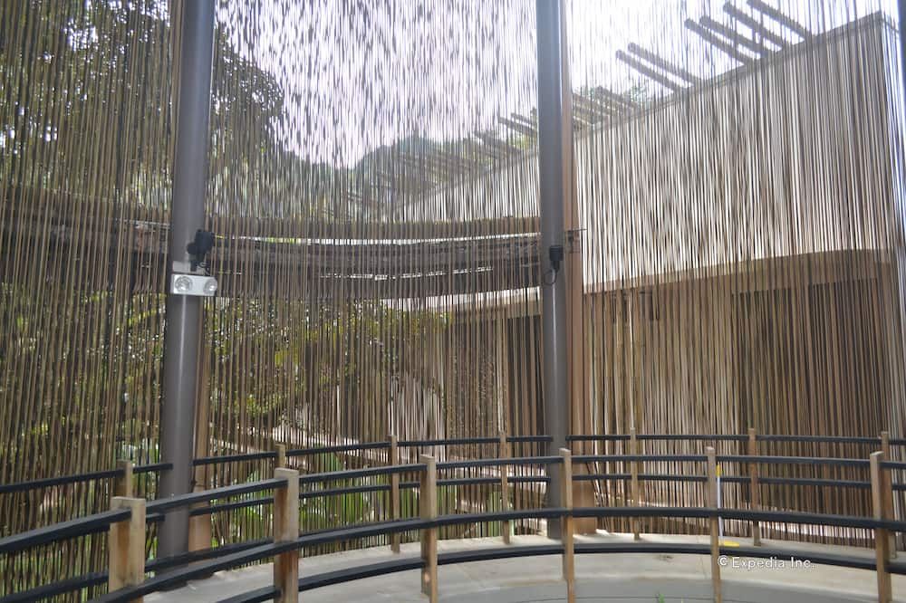 Outdoors view