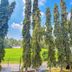Outdoors view