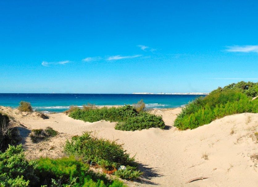 Beach Photo