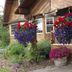 Outdoors view