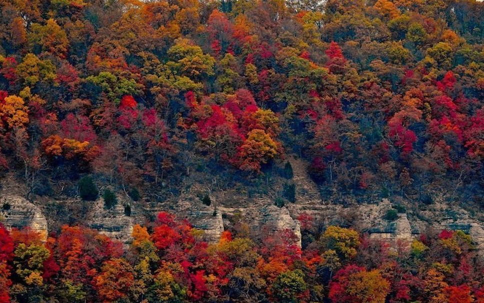 Outdoors view Photo