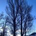 Outdoors view