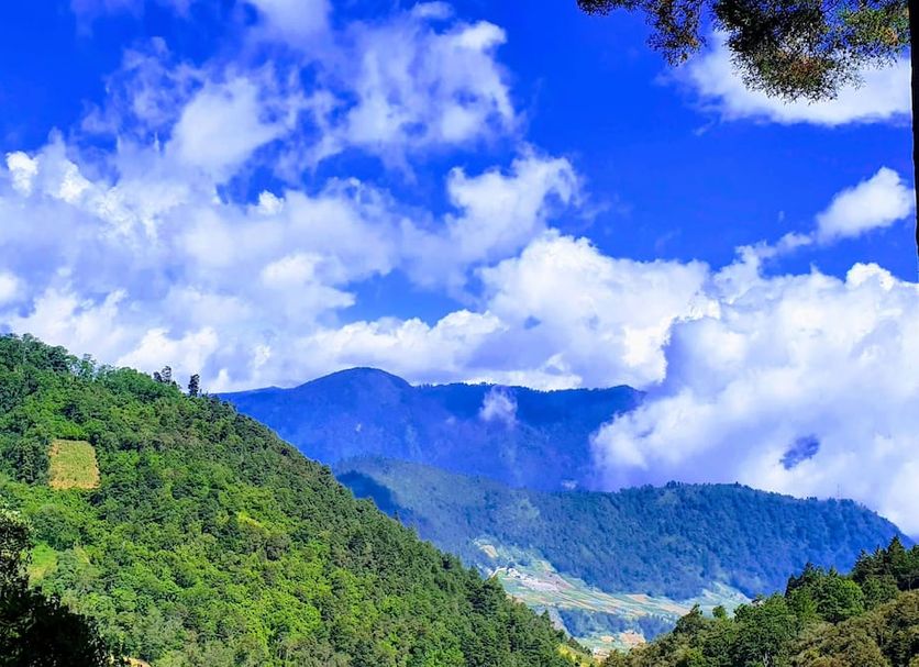 Outdoors view Photo
