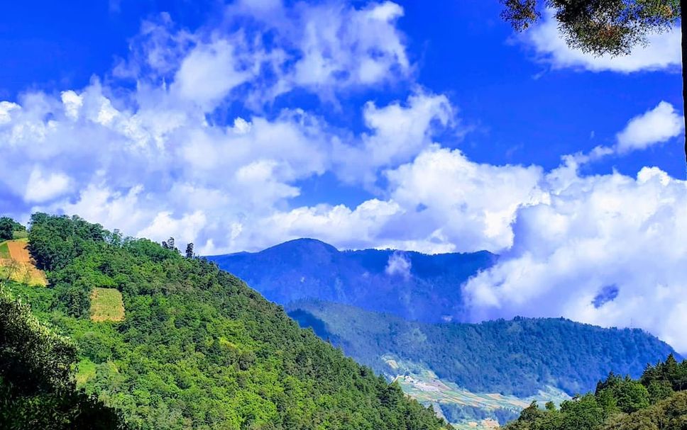 Outdoors view Photo