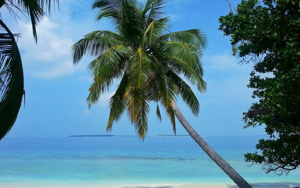 Beach Photo