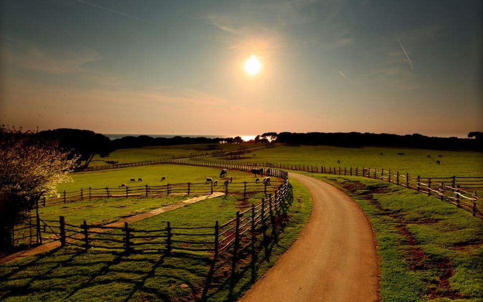 Outdoors view Photo