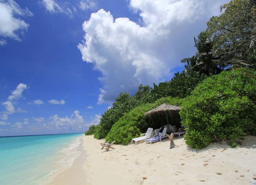 Beach Photo