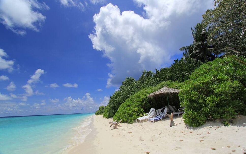 Beach Photo