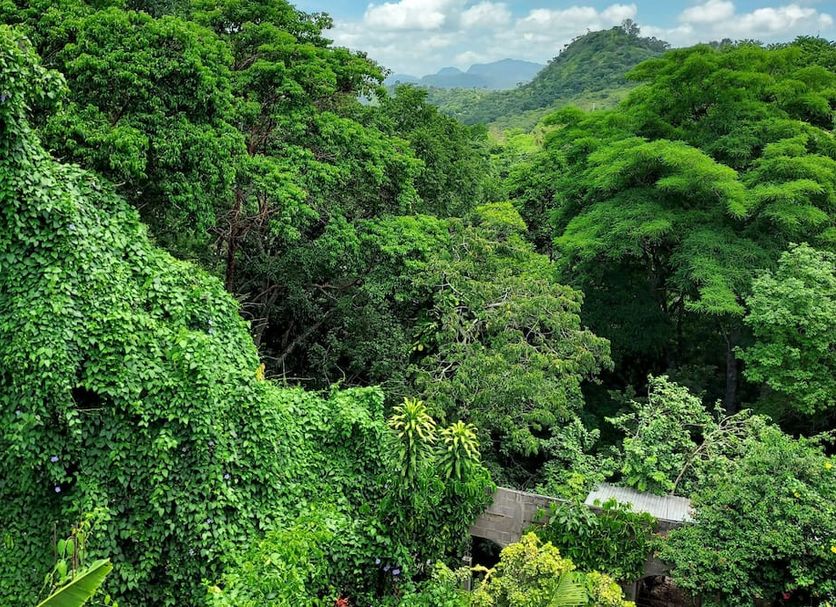 Outdoors view Photo