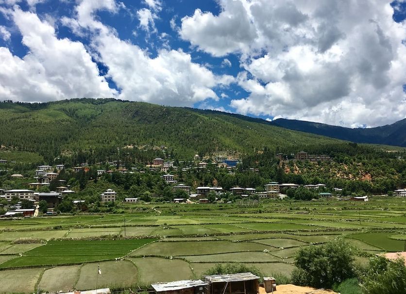 Outdoors view Photo
