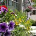 Outdoors view