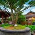 Outdoors view