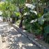 Outdoors view