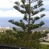 Outdoors view