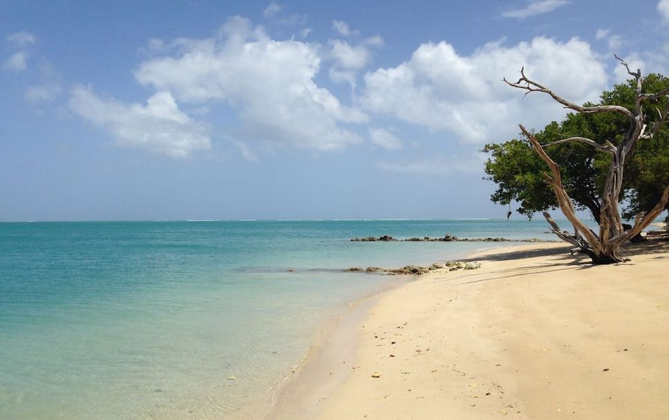 Beach Photo