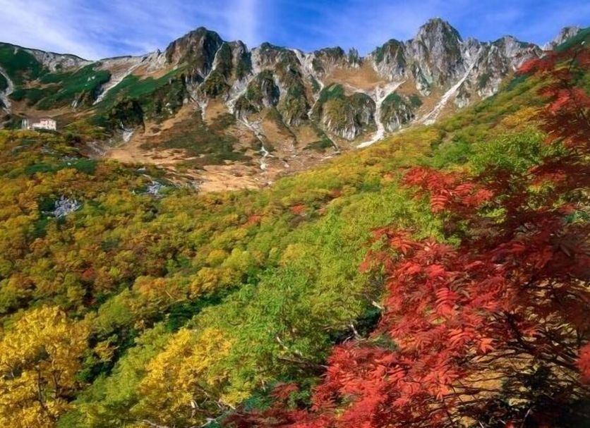 Outdoors view Photo