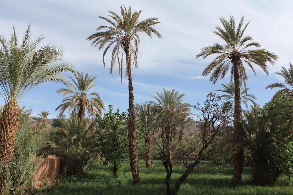 Outdoors view