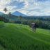 Outdoors view