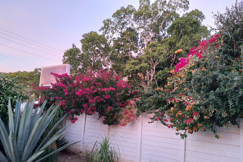 Outdoors view