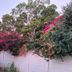 Outdoors view