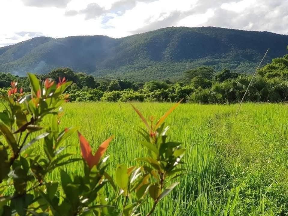 Outdoors view