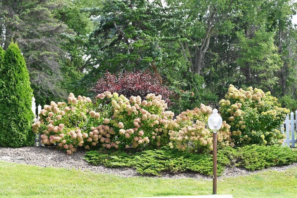 Outdoors view