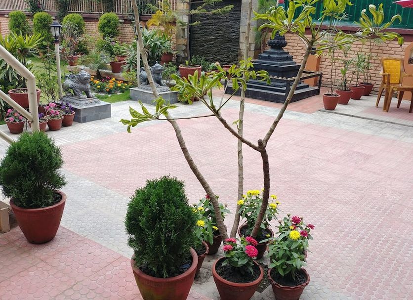 Patio Photo