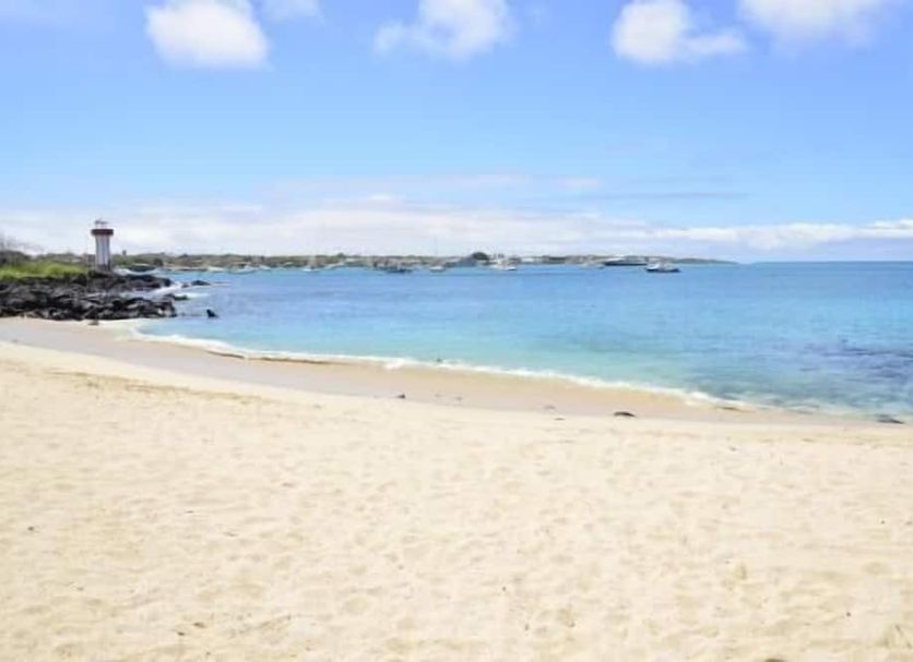 Beach Photo