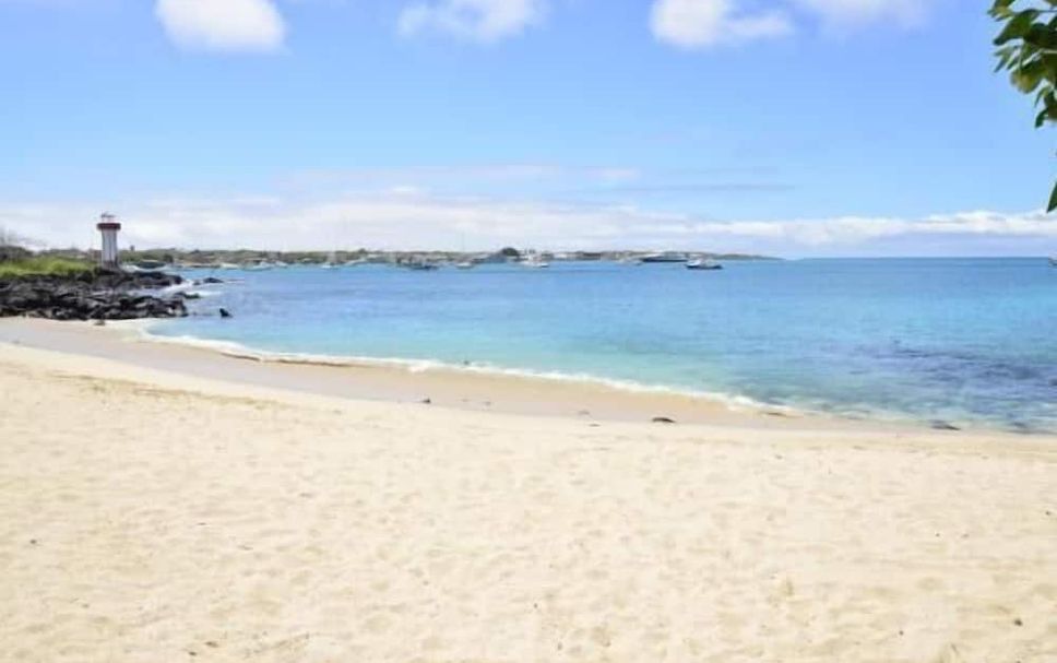 Beach Photo