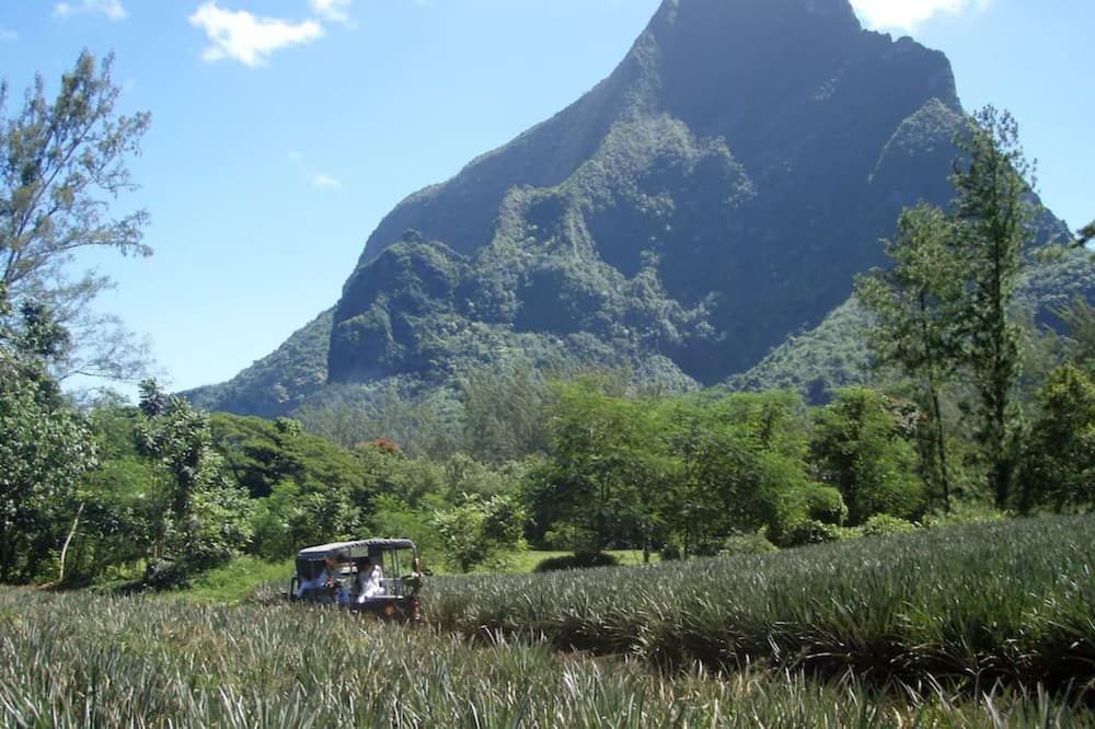 Outdoors view