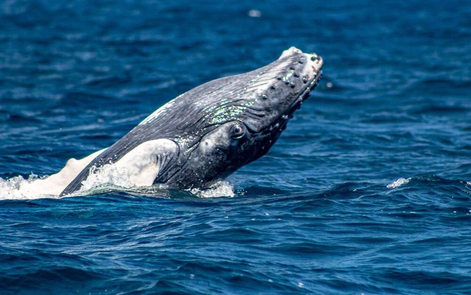 Other Photo
