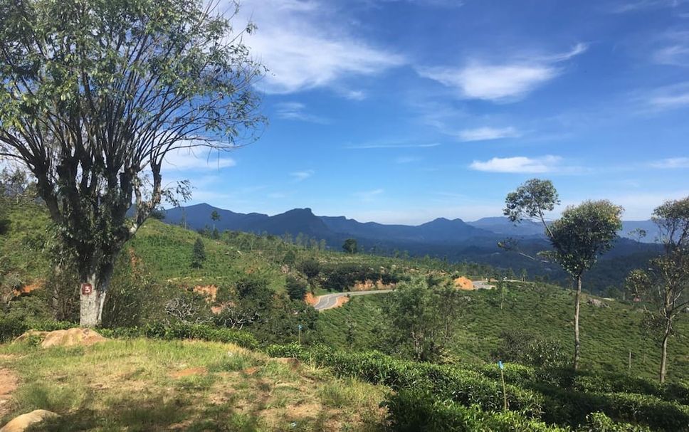 Outdoors view Photo