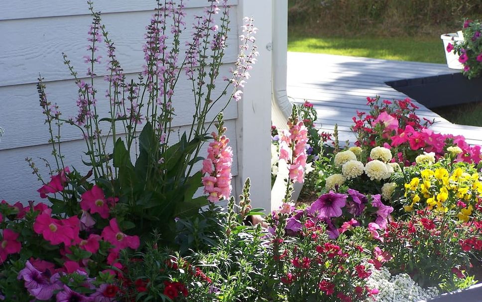 Outdoors view Photo