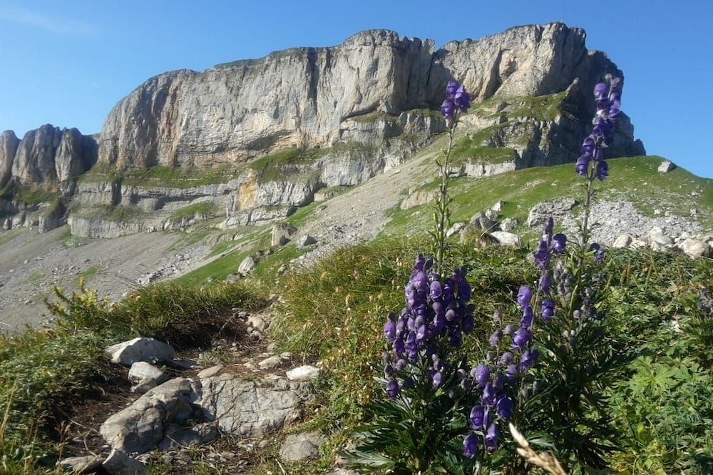 Outdoors view