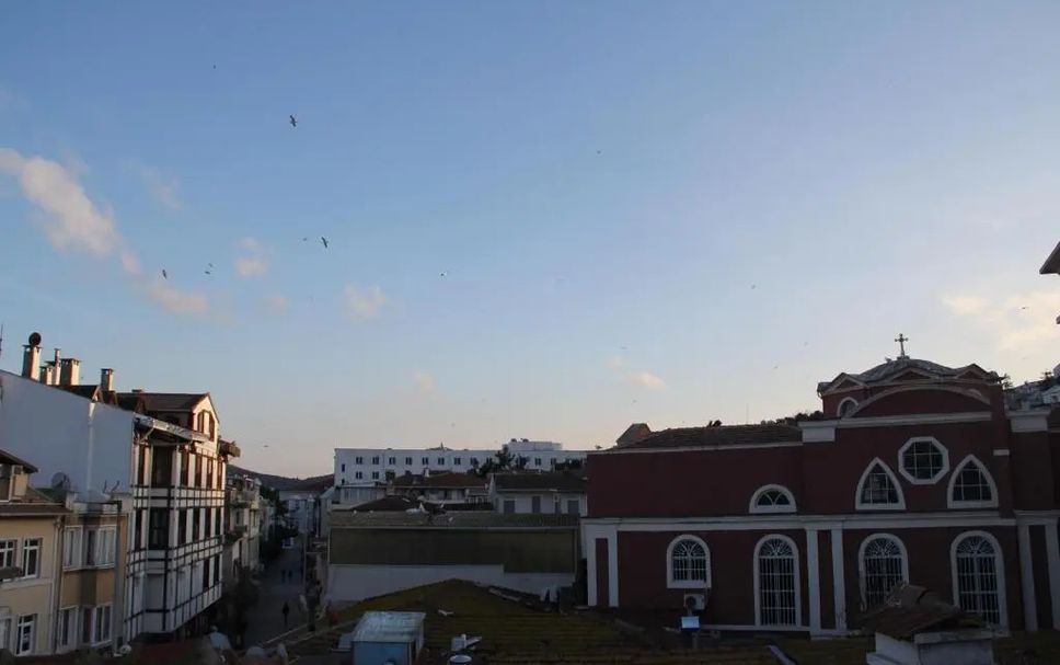 Outdoors view Photo