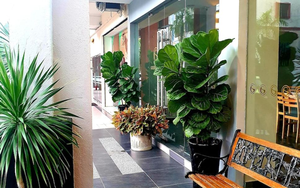 Lobby Photo