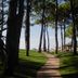 Outdoors view
