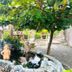 Outdoors view