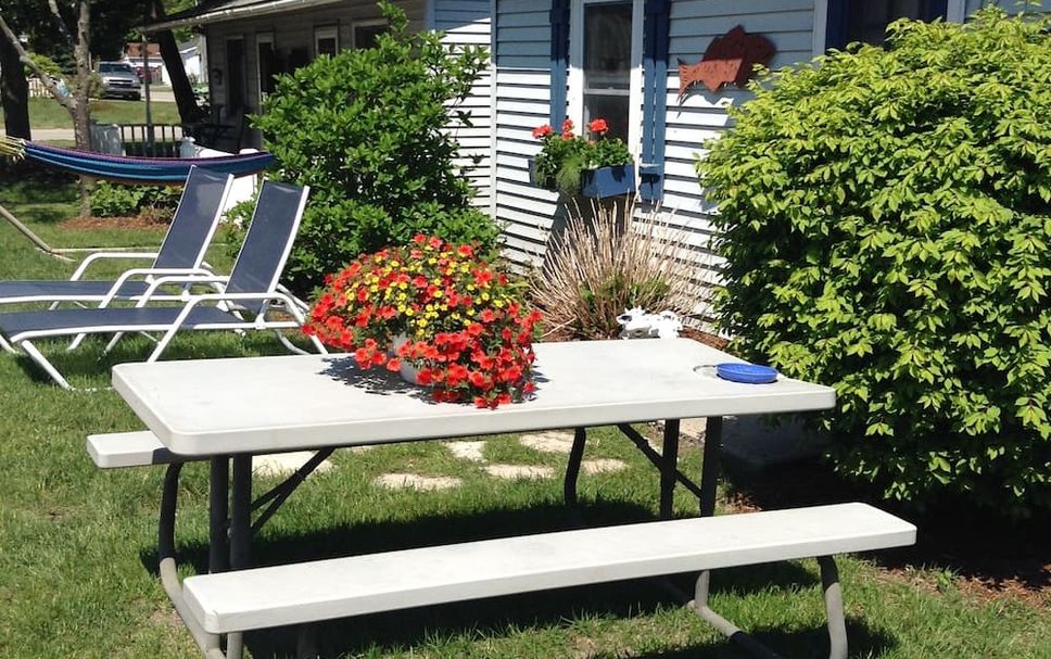 Patio Photo